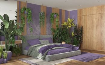 A szobanövények hatása a stressz csökkentésére és az alvás javítására