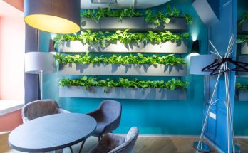 Növényfalak létrehozása otthoni környezetben