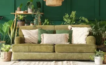 7 titok, hogy a szobanövényed még hosszú évek után is egészséges legyen!