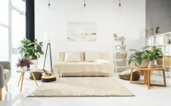 Miért fontos a növényeid megfelelő fényellátása, és hogyan érheted el?