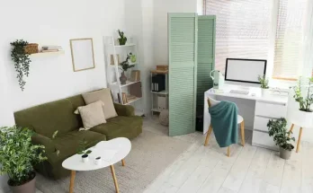 Miért fontos, hogy minden szobanövénynek megfelelő helyet találj a lakásban?