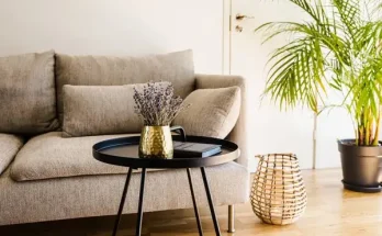 A legjobb szobanövények, amelyek a legnagyobb melegben is túlélnek!