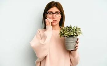 Miért hasznosak a szobanövények a stressz csökkentésében?