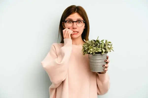 Miért hasznosak a szobanövények a stressz csökkentésében?