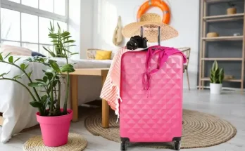 Hogyan tartsd életben a szobanövényeidet, amikor sokáig nem vagy otthon?