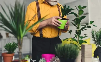 Hogyan segíthetnek a szobanövények a légúti problémák enyhítésében?