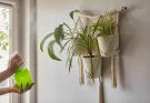 Szobanövények “felfüggesztve” – makramé és egyéb stílusos tartók