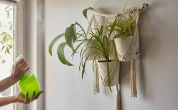 Szobanövények “felfüggesztve” – makramé és egyéb stílusos tartók