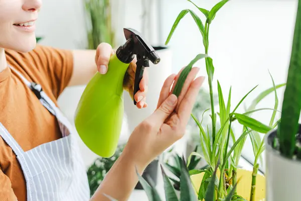 Hogyan csökkentheti a szorongást a növénygondozás?